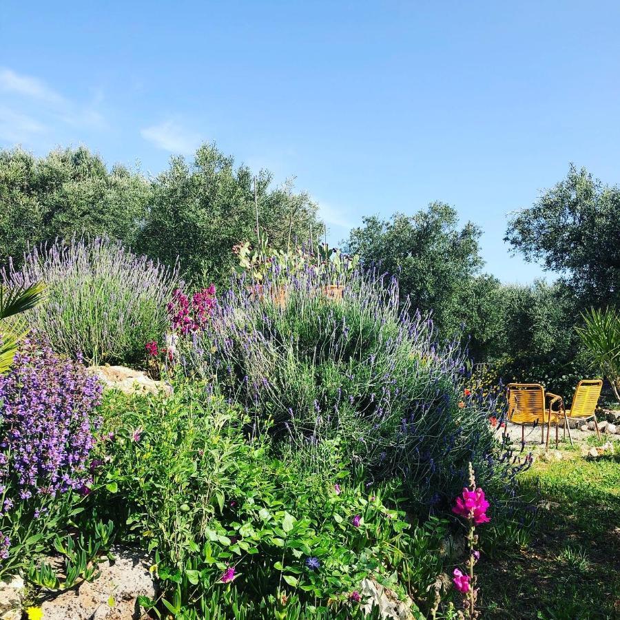 Casa Della Scrittrice Bed & Breakfast Ostuni Dış mekan fotoğraf