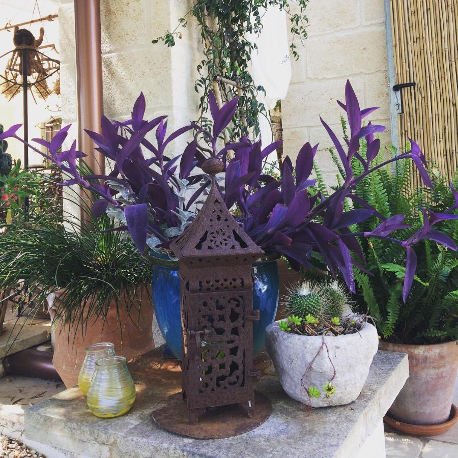Casa Della Scrittrice Bed & Breakfast Ostuni Dış mekan fotoğraf