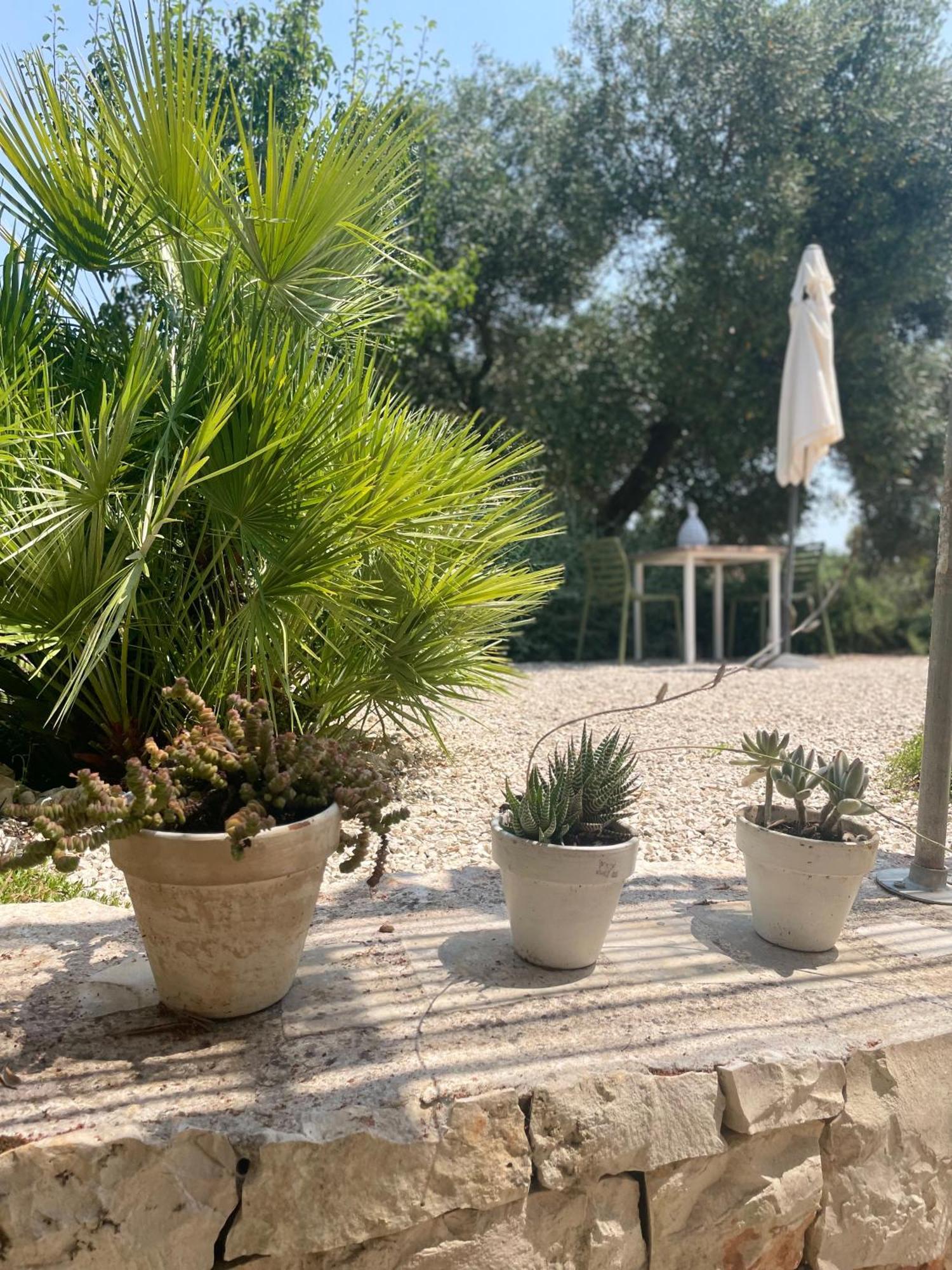 Casa Della Scrittrice Bed & Breakfast Ostuni Oda fotoğraf