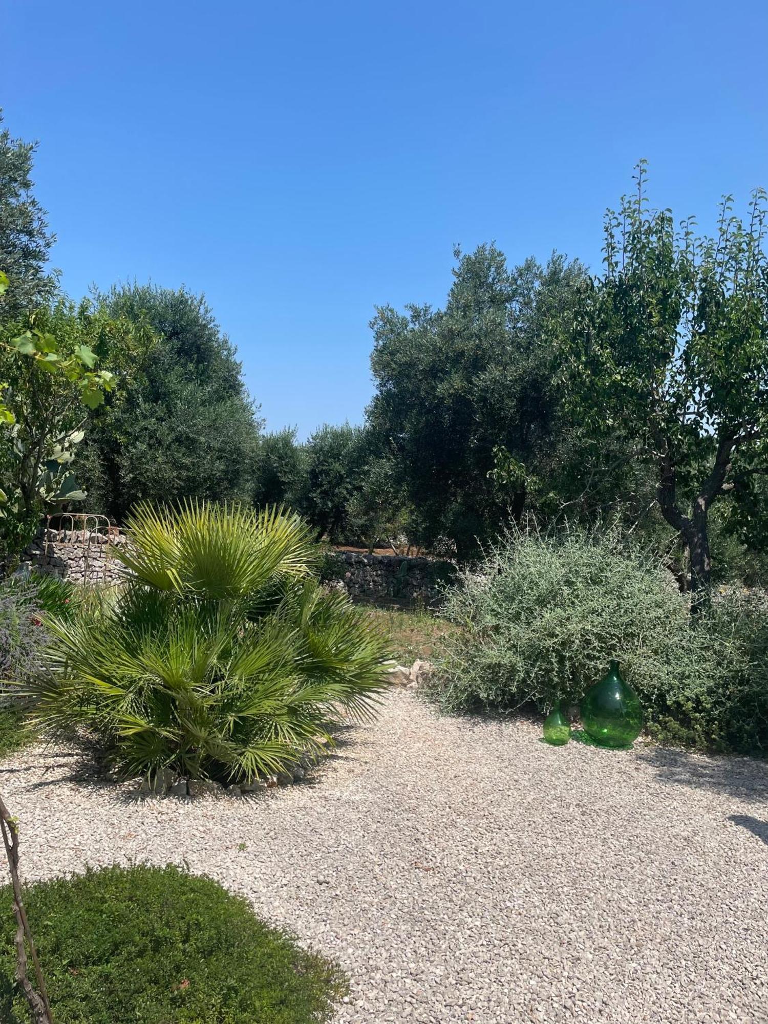 Casa Della Scrittrice Bed & Breakfast Ostuni Oda fotoğraf